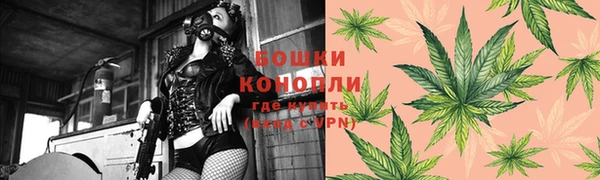 PSILOCYBIN Алексеевка