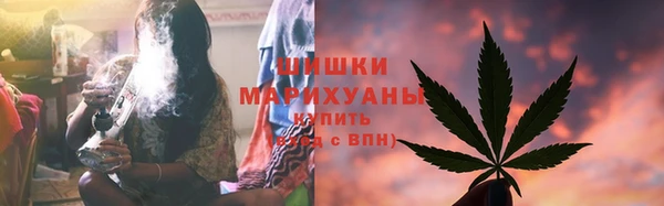 PSILOCYBIN Алексеевка