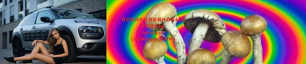 PSILOCYBIN Алексеевка