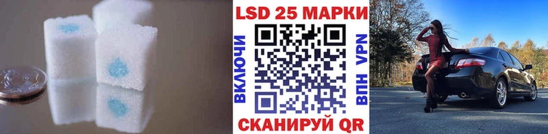 наркота  Апатиты  ЛСД экстази ecstasy 