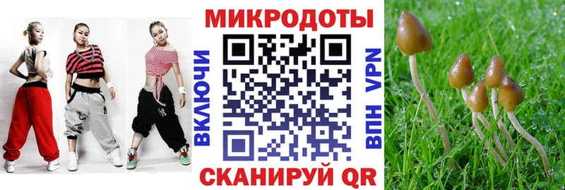 дарнет шоп  Апатиты  Псилоцибиновые грибы Cubensis 